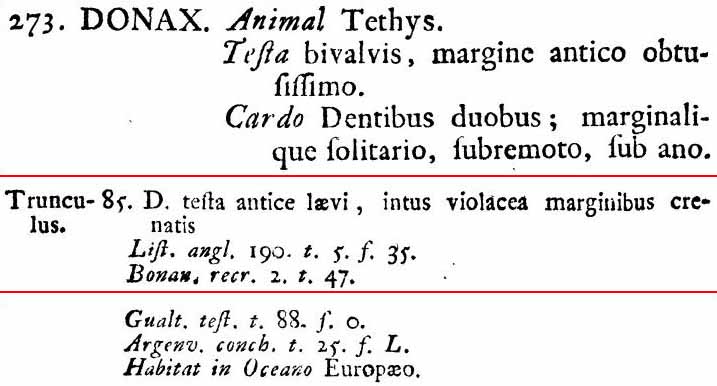 La famiglia DONACIDAE in Mediterraneo